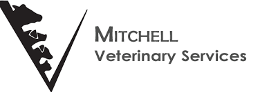 View Mitchell Veterinary